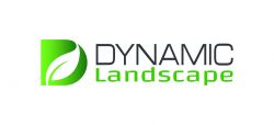 Dynamic Services